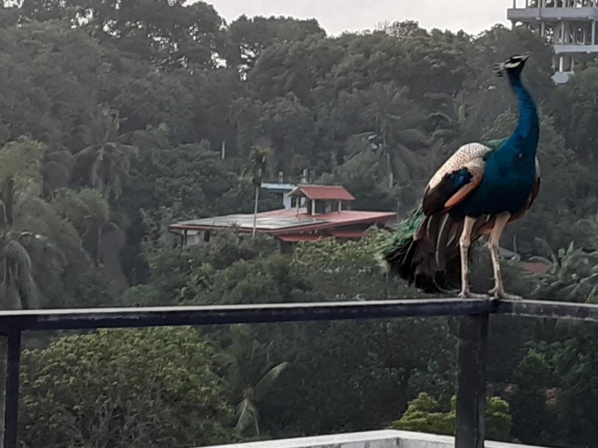 Marino Mirissa Hotel Bagian luar foto