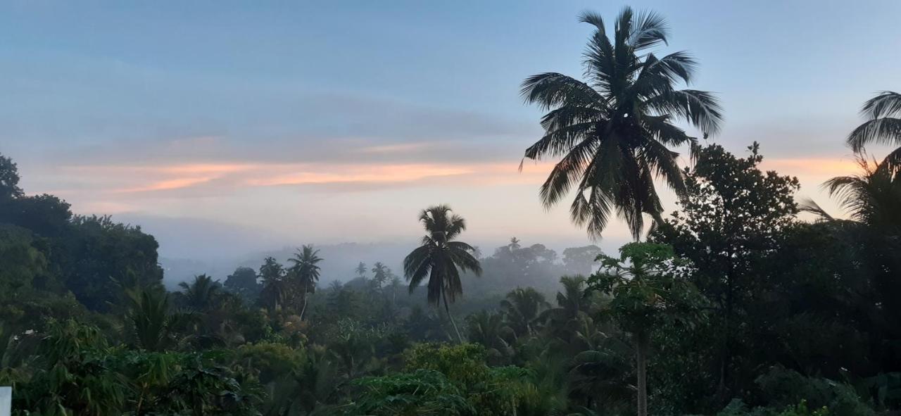 Marino Mirissa Hotel Bagian luar foto